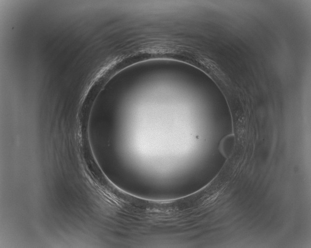 X0000057060727200509120847