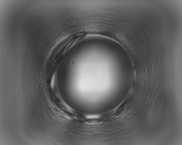 X0000057060731200509120847