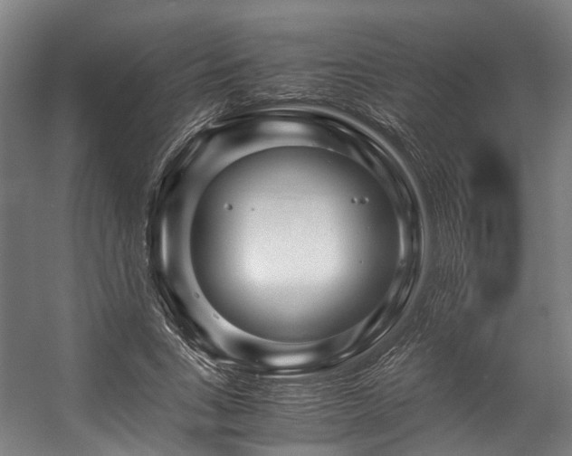 X0000057060735200509120847