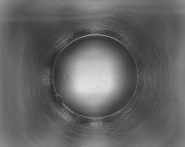 X0000057060744200509120848