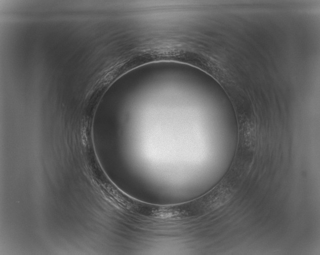 X0000057060746200509120848