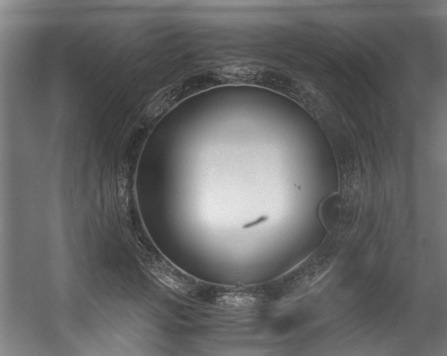 X0000057060749200509120848