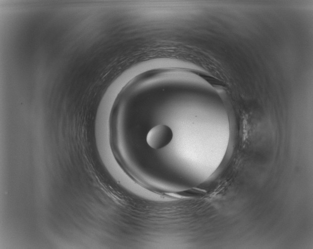 X0000057060750200509120848