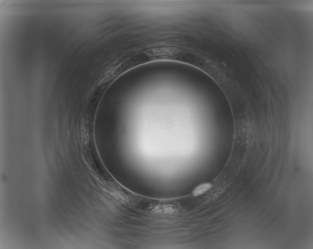 X0000057060751200509120848