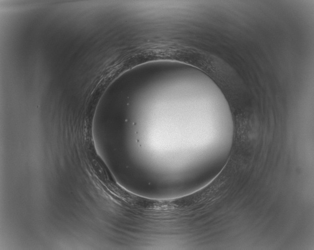 X0000057060752200509120848