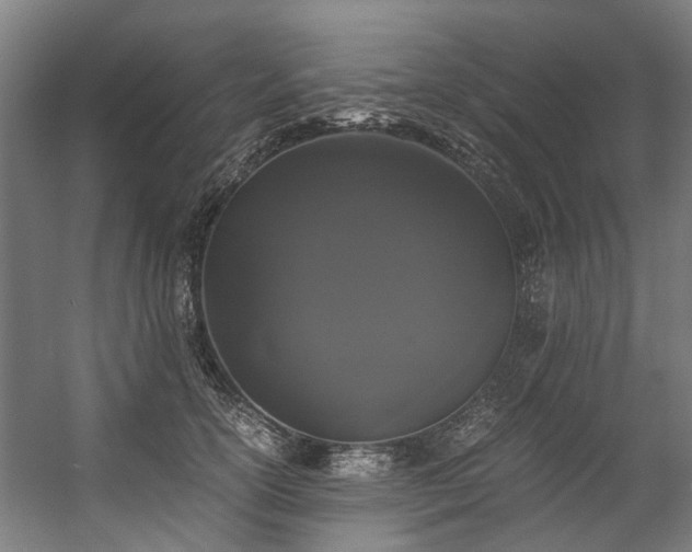 X0000057060754200509120848