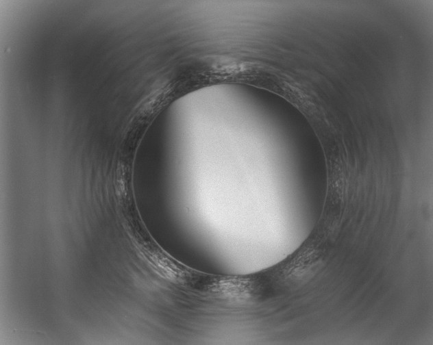 X0000057060758200509120848