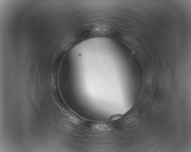 X0000057060759200509120848