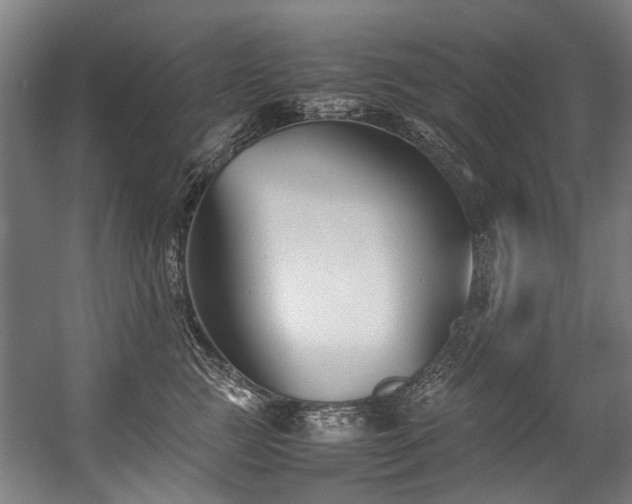 X0000057060761200509120848