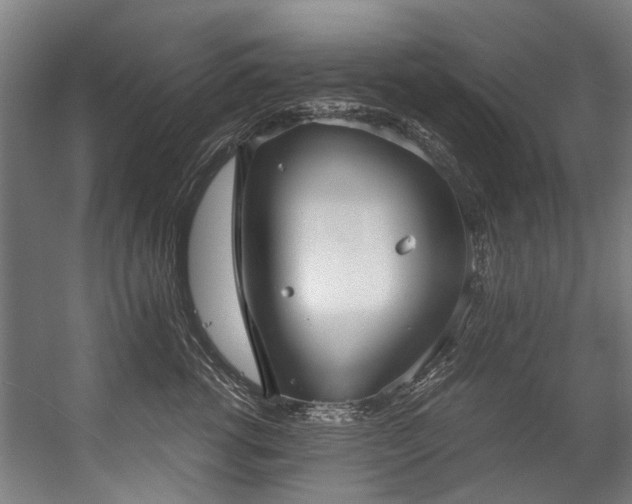 X0000057060762200509120848