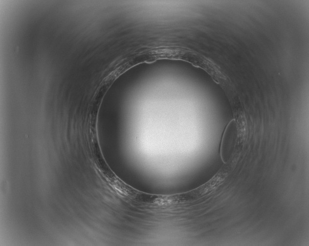 X0000057060764200509120848