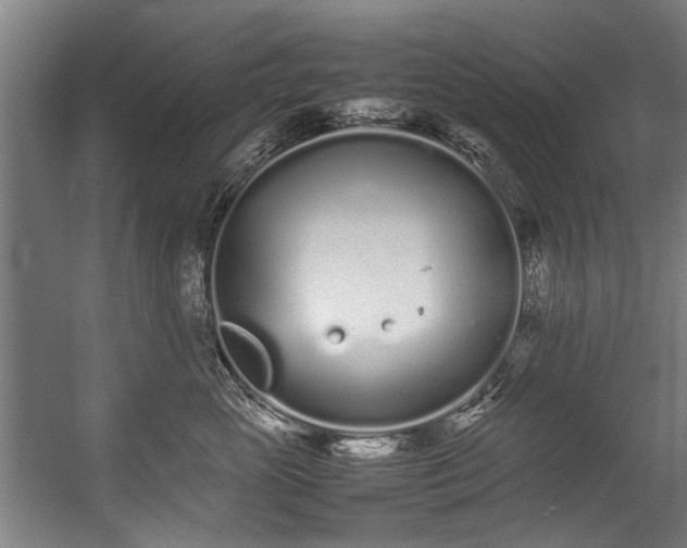 X0000057060765200509120848