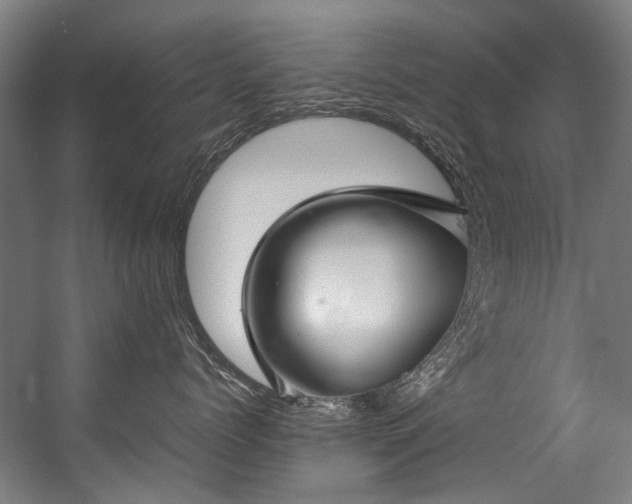 X0000057060768200509120848