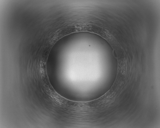 X0000057060770200509120847