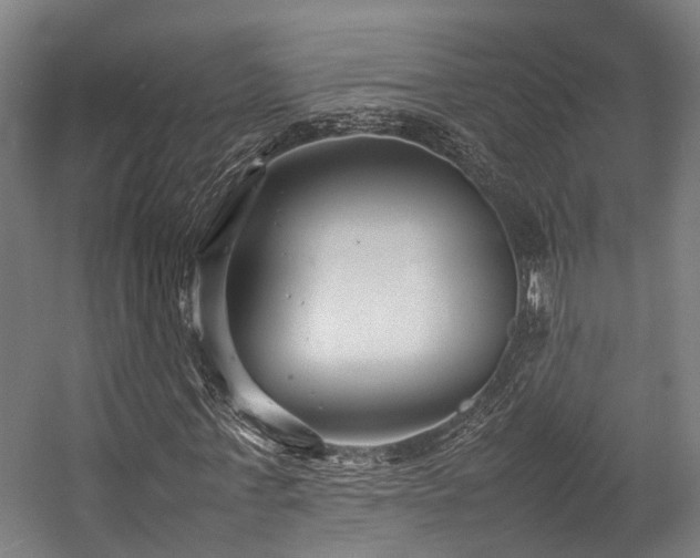 X0000057060771200509120847