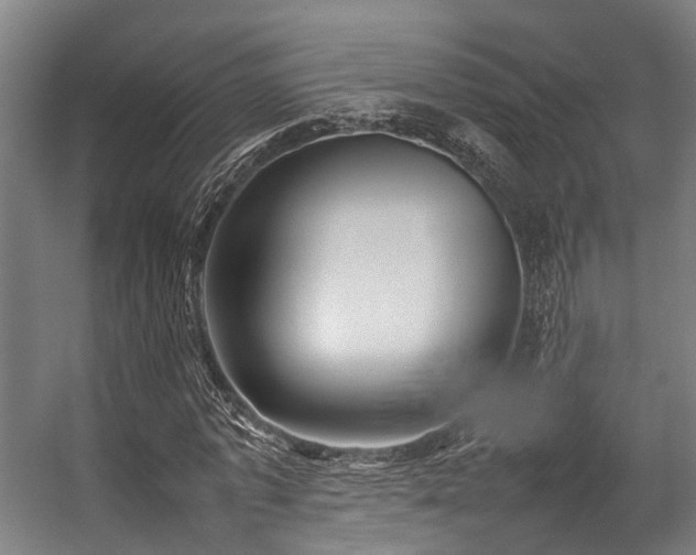 X0000057060773200509120847