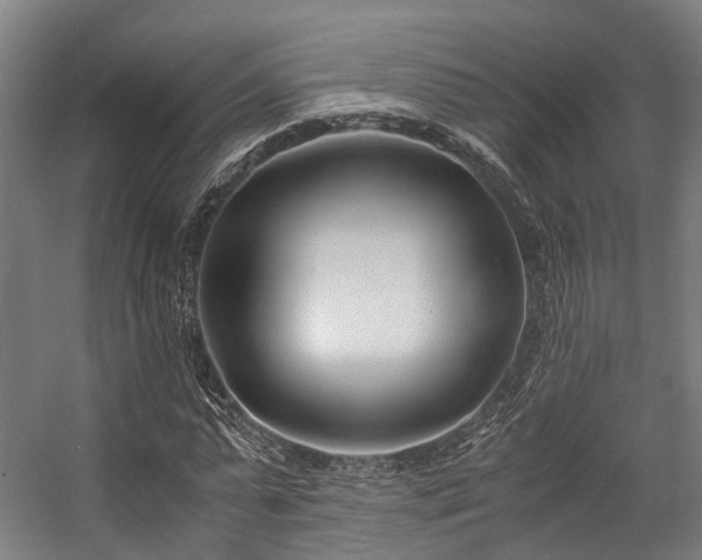 X0000057060775200509120847