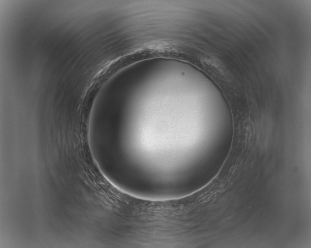 X0000057060776200509120847