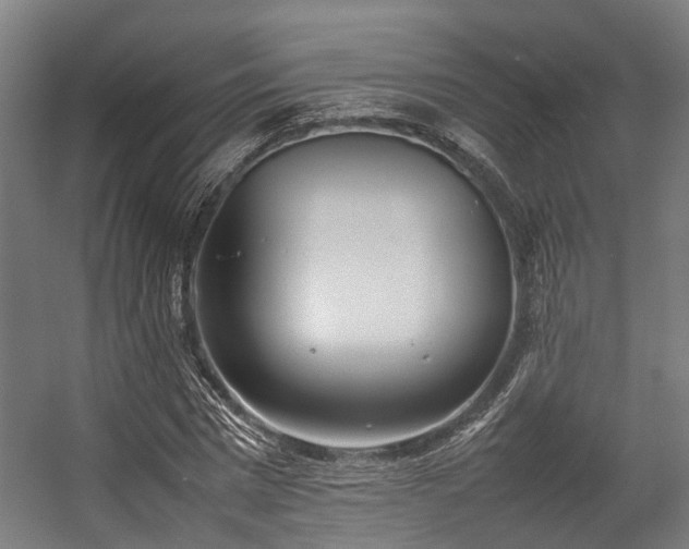 X0000057060777200509120847