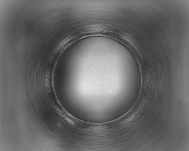 X0000057060778200509120847