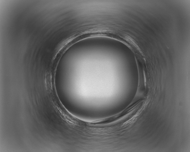 X0000057060781200509120847