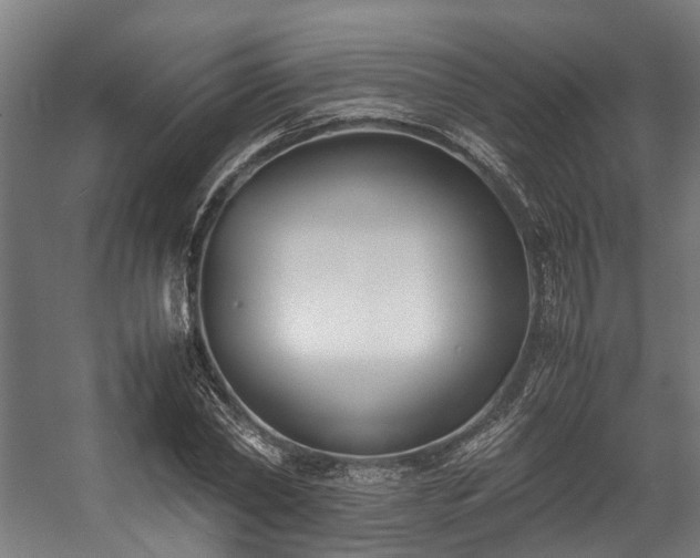 X0000057060782200509120847