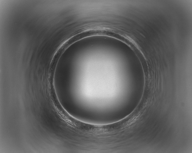 X0000057060783200509120847