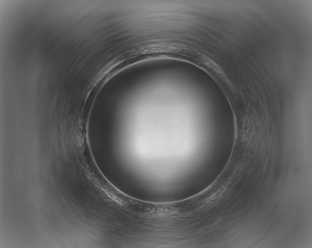 X0000057060786200509120847