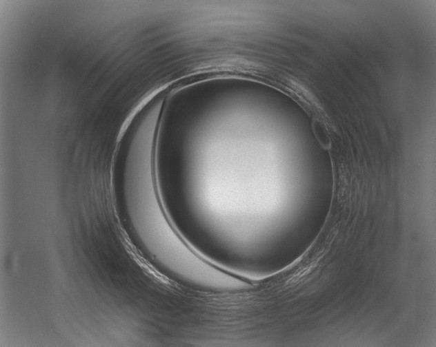 X0000057060788200509120847