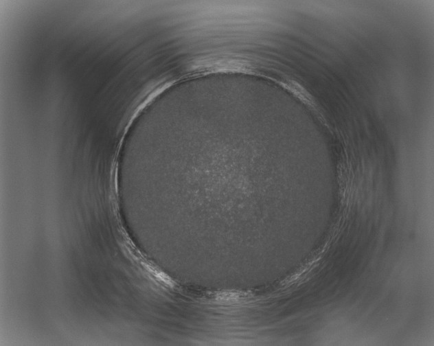 X0000057060790200509120847