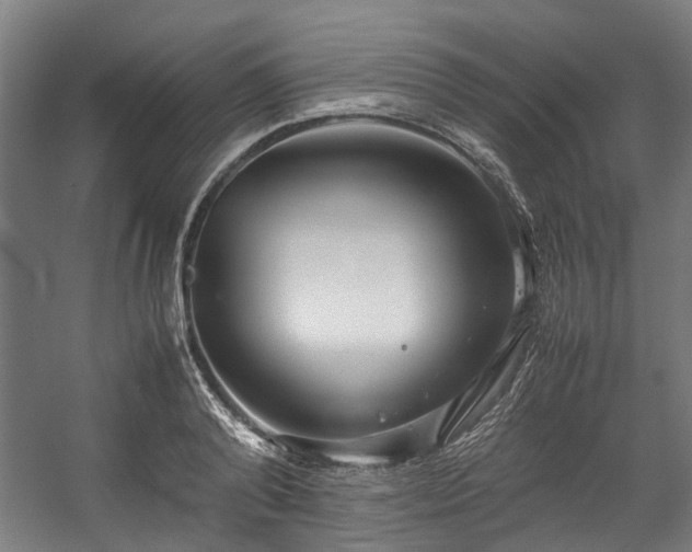 X0000057060792200509120847