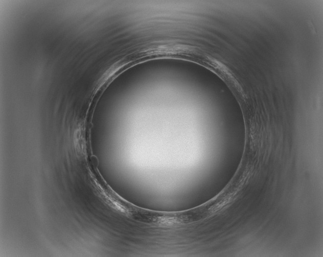 X0000057060794200509120847