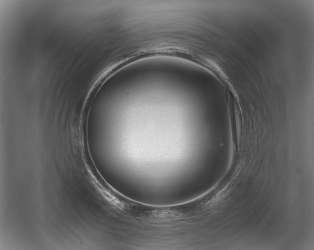 X0000057060795200509120847