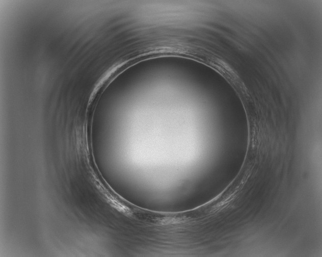 X0000057060796200509120847