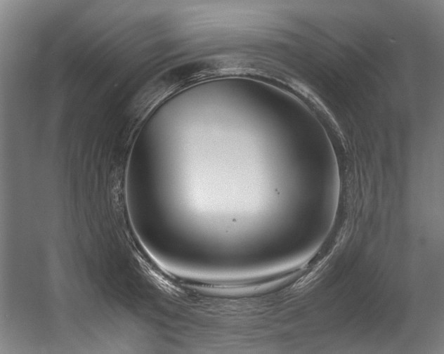 X0000057060801200509120847