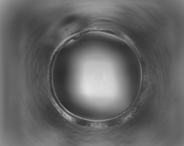 X0000057060803200509120847