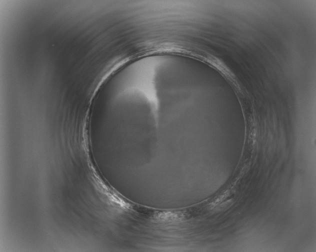 X0000057060806200509120847