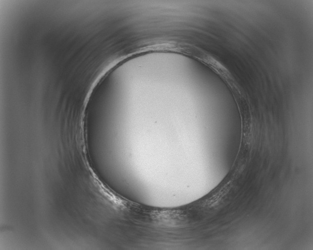 X0000057060808200509120846