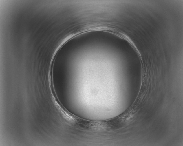 X0000057060811200509120846