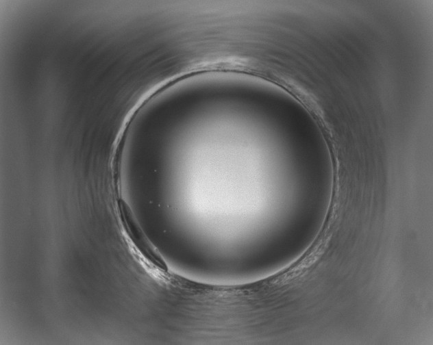 X0000057060816200509120846