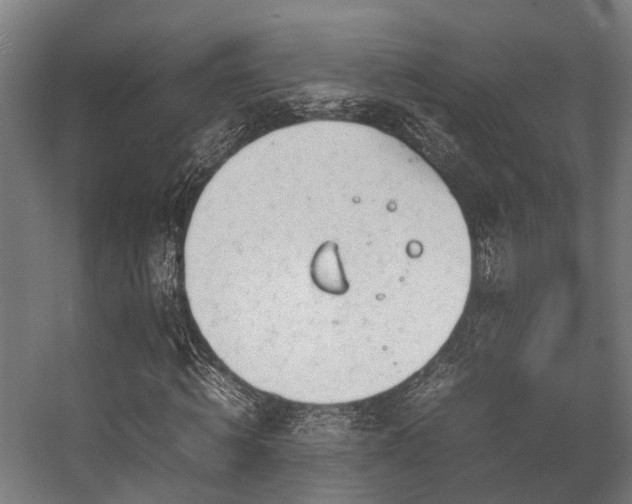 X0000057060820200509120846