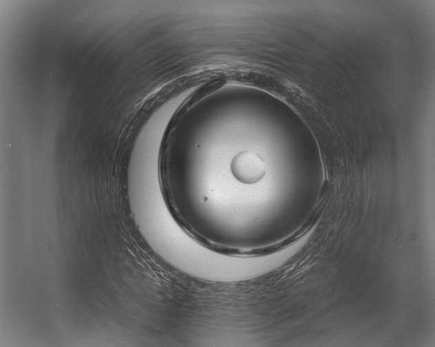 X0000057060822200509120846