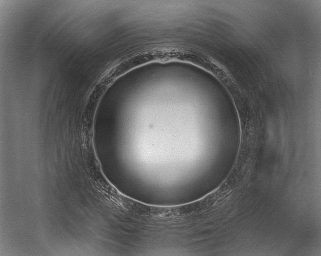 X0000057060823200509120846