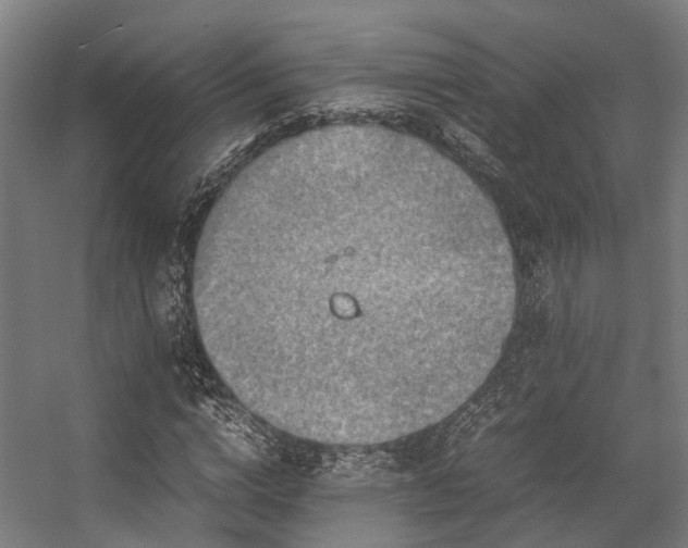 X0000057060824200509120846