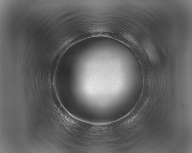 X0000057060825200509120846