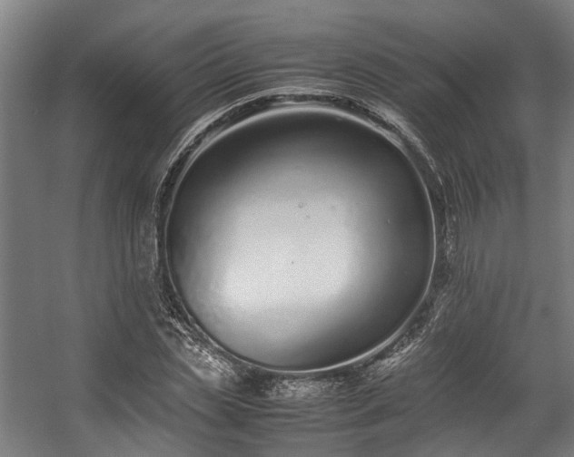 X0000057060829200509120846