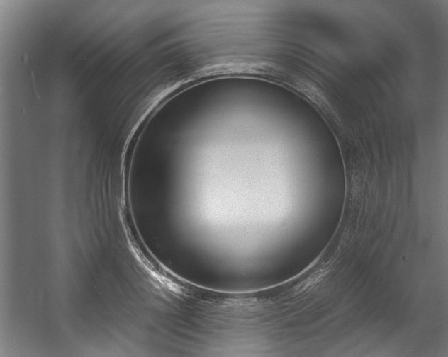 X0000057060844200509120846