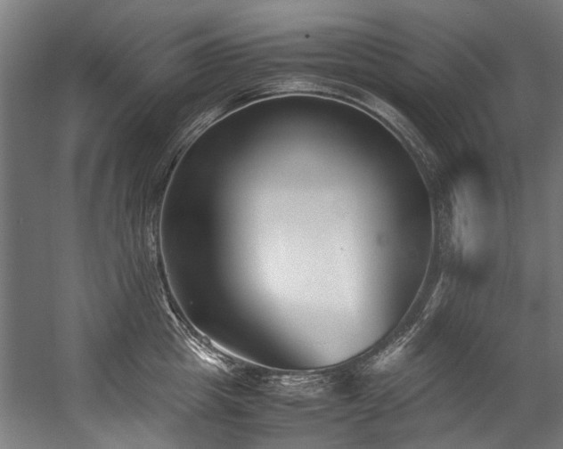 X0000057060857200509120846