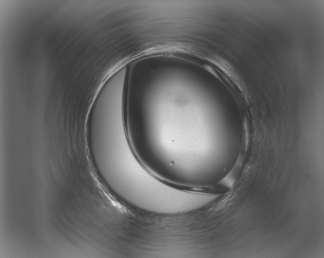 X0000057060858200509120846