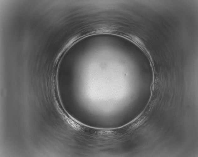 X0000057060859200509120846